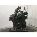 Cummins M11 Engine Assembly thumbnail 2