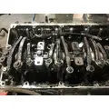 Cummins M11 Engine Assembly thumbnail 19