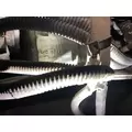 Cummins M11 Engine Assembly thumbnail 9