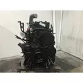 Cummins M11 Engine Assembly thumbnail 2