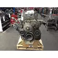 Cummins M11 Engine Assembly thumbnail 2