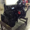 Cummins M11 Engine Assembly thumbnail 4