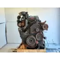 Cummins M11 Engine Assembly thumbnail 3