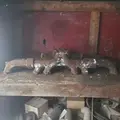 Cummins M11 Exhaust Manifold thumbnail 1