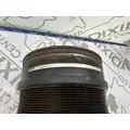Cummins Other Fan Clutch thumbnail 2
