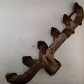 Cummins  Exhaust Manifold thumbnail 4
