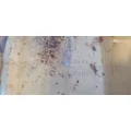 Cummins  Oil Pan thumbnail 4