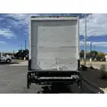 Custom 24