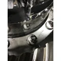 DANA/IHC N-175 Rears (Rear) thumbnail 3
