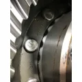 DANA/IHC N-175 Rears (Rear) thumbnail 2
