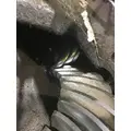 DANA/IHC S110 Rears (Rear) thumbnail 2