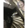 DANA/IHC S110 Rears (Rear) thumbnail 2