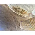 DANA 080AF132 Axle Housing thumbnail 7