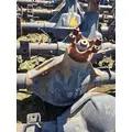 DANA DANA80 Axle Assembly, Rear (Single or Rear) thumbnail 1