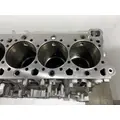 DETROIT DIESEL DD13 Cylinder Block thumbnail 9