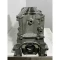 DETROIT DIESEL DD13 Cylinder Block thumbnail 13