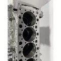 DETROIT DIESEL DD13 Cylinder Block thumbnail 15