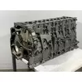 DETROIT DIESEL DD13 Cylinder Block thumbnail 9