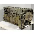 DETROIT DIESEL DD13 Cylinder Block thumbnail 1