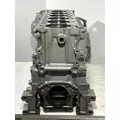 DETROIT DIESEL DD13 Cylinder Block thumbnail 3