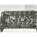 DETROIT DIESEL DD13 Cylinder Block thumbnail 5