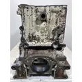 DETROIT DIESEL DD13 Cylinder Block thumbnail 1