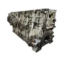 DETROIT DIESEL DD13 Cylinder Block thumbnail 2