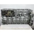 DETROIT DIESEL DD13 Cylinder Block thumbnail 5
