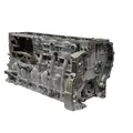 DETROIT DIESEL DD13 Cylinder Block thumbnail 1