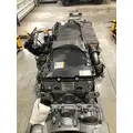 DETROIT DIESEL DD13 Engine Assembly thumbnail 6