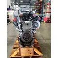 DETROIT DIESEL DD13 Engine Assembly thumbnail 1