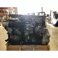 DETROIT DIESEL DD13 Engine Assembly thumbnail 4