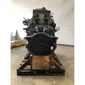 DETROIT DIESEL DD13 Engine Assembly thumbnail 1
