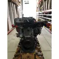 DETROIT DIESEL DD13 Engine Assembly thumbnail 1