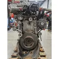 DETROIT DIESEL DD13 Engine Assembly thumbnail 4