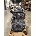 DETROIT DIESEL DD13 Engine Assembly thumbnail 2