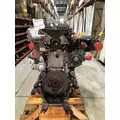 DETROIT DIESEL DD13 Engine Assembly thumbnail 1