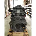 DETROIT DIESEL DD13 Engine Assembly thumbnail 2