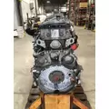 DETROIT DIESEL DD13 Engine Assembly thumbnail 2