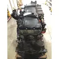 DETROIT DIESEL DD13 Engine Assembly thumbnail 6