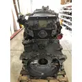 DETROIT DIESEL DD13 Engine Assembly thumbnail 8