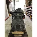 DETROIT DIESEL DD13 Engine Assembly thumbnail 2
