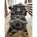 DETROIT DIESEL DD13 Engine Assembly thumbnail 9