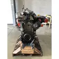 DETROIT DIESEL DD13 Engine Assembly thumbnail 1