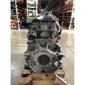 DETROIT DIESEL DD13 Engine Assembly thumbnail 2