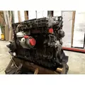 DETROIT DIESEL DD13 Engine Assembly thumbnail 4
