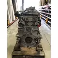 DETROIT DIESEL DD13 Engine Assembly thumbnail 2