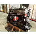 DETROIT DIESEL DD13 Engine Assembly thumbnail 4