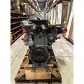 DETROIT DIESEL DD13 Engine Assembly thumbnail 1