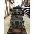 DETROIT DIESEL DD13 Engine Assembly thumbnail 2